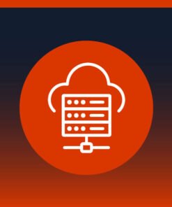 Plan Hosting Negocio